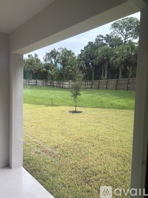 A view from a window looking out to a yard with a fence and trees.