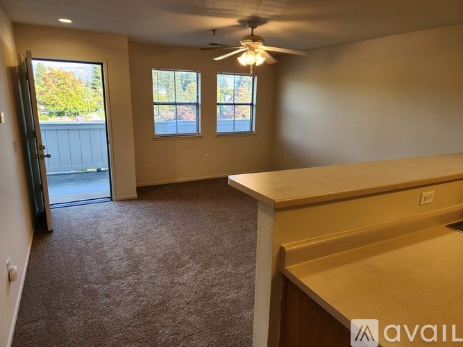 A room with a carpeted floor, a ceiling fan, and two windows.