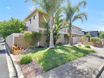 Central Los Altos Apartments For Rent Los Altos Ca Rentcafe Central Los Altos Apartments For Rent Los Altos Ca Rentcafe