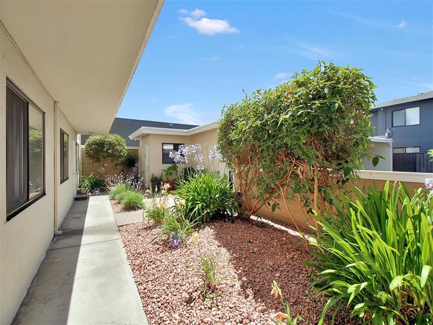 the front yard of a house with a walkway and plants