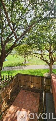 A tree with green leaves is in the foreground of a sunny outdoor scene.