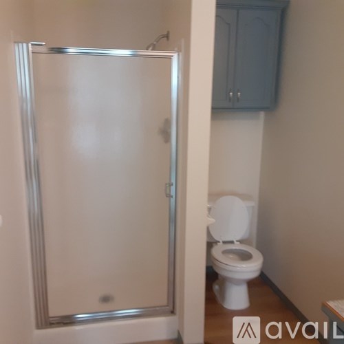 A white toilet in a bathroom with a glass shower door.