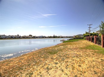 3301, 3305 Los Prados Street 2-3 Beds Apartment for Rent - Photo Gallery 6