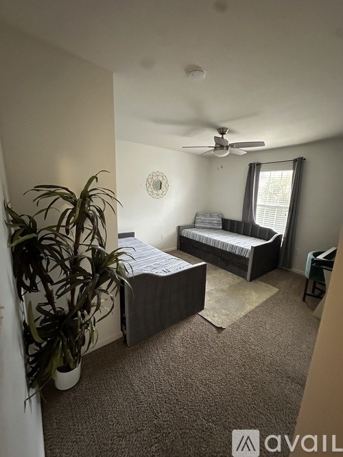 A bedroom with a bed, a plant, and a ceiling fan.