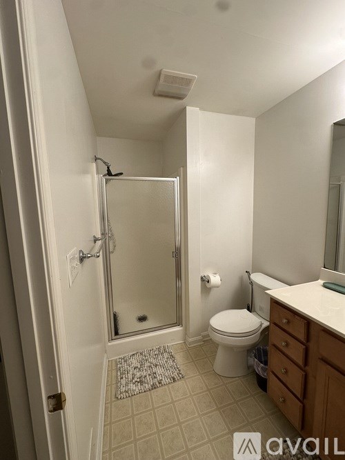 A bathroom with a toilet, sink, and walk-in shower.