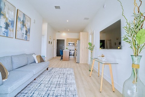 A living room with a grey couch and a blue and white patterned rug.