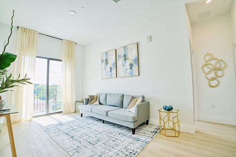A living room with a grey sofa and a blue patterned rug.