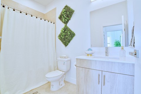 A white bathroom with a toilet, sink, and a green plant on the wall.