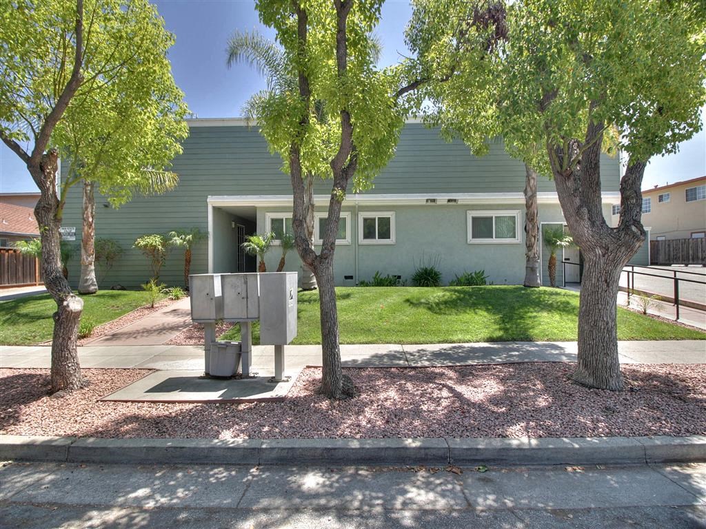 A house with a green exterior and a tree in front of it.