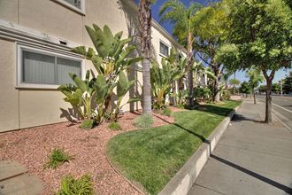 a sidewalk in front of a building with trees and grass