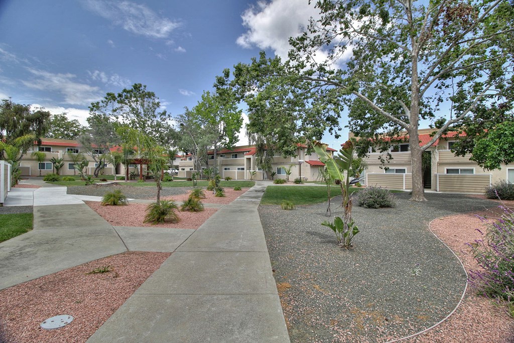 Courtyard Walking Paths at Casa Alberta Apartments, Sunnyvale, 94087