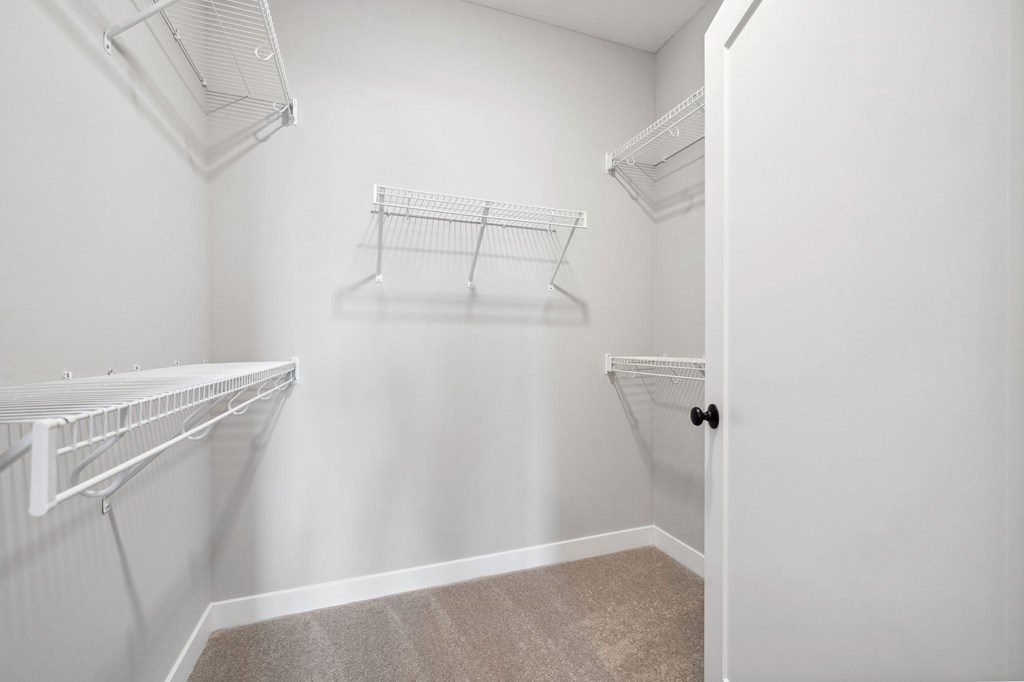 A white closet with a carpeted floor and a door on the right.