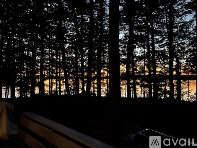 A bench is in the foreground of a forest with the sun setting behind it.