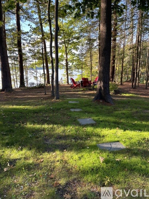 A forest with a path and a bench.