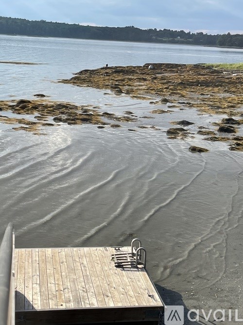 A wooden dock extends into a calm body of water with rocks in the background.