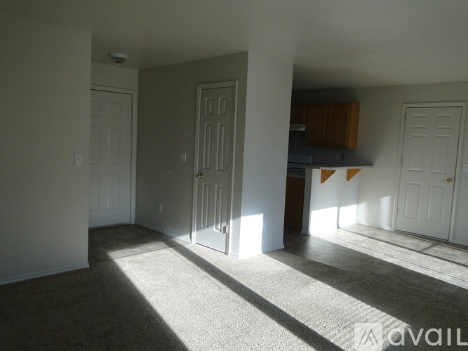 A room with white walls and carpet flooring with sunlight shining through the door.