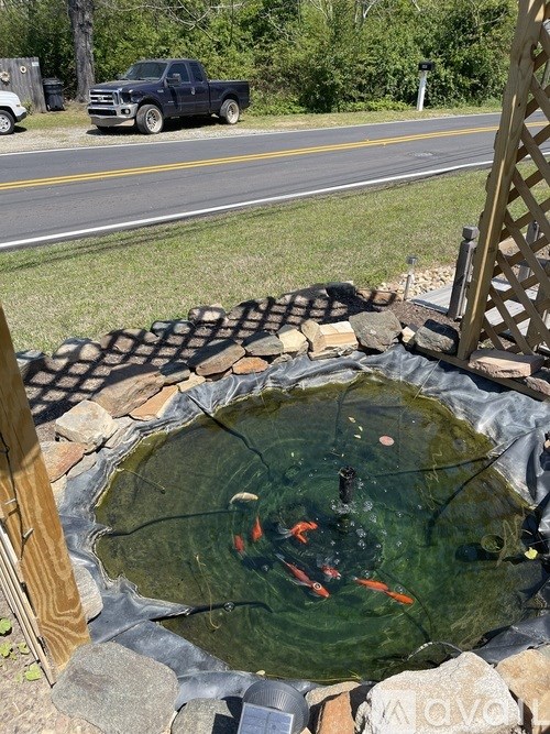 A small pond with a few fish in it.