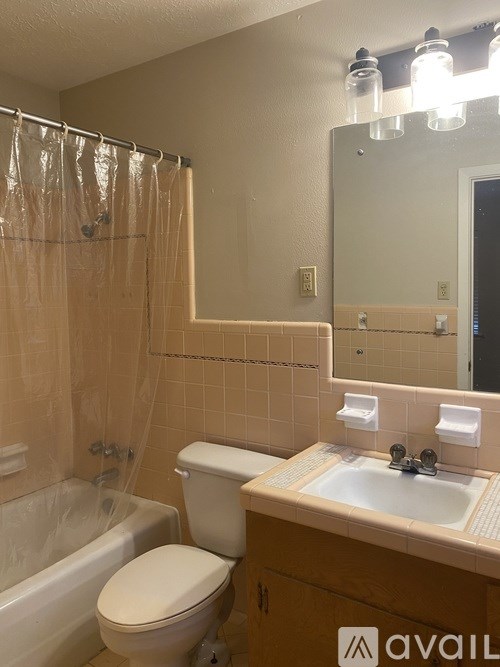 A bathroom with a toilet, sink, and shower.