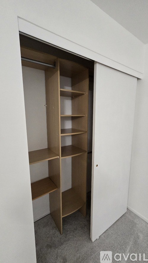 A white door is open to reveal a shelving unit.