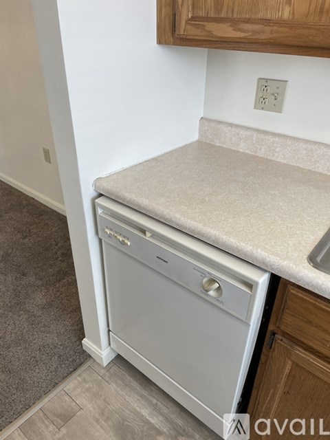 A dishwasher is built into a kitchen counter.