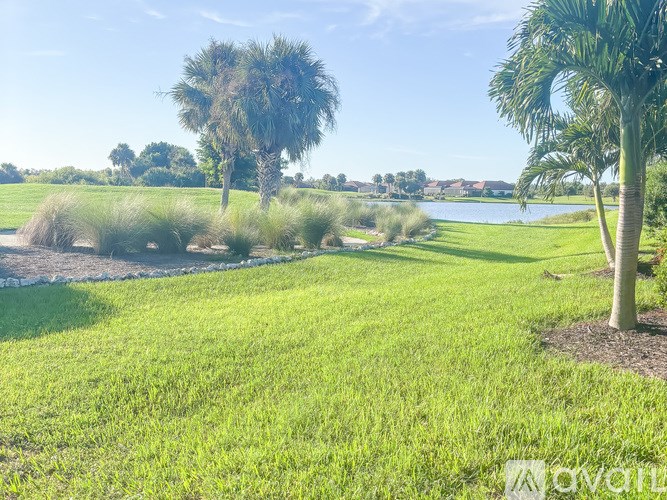 A palm tree stands in a grassy field with a body of water in the distance.