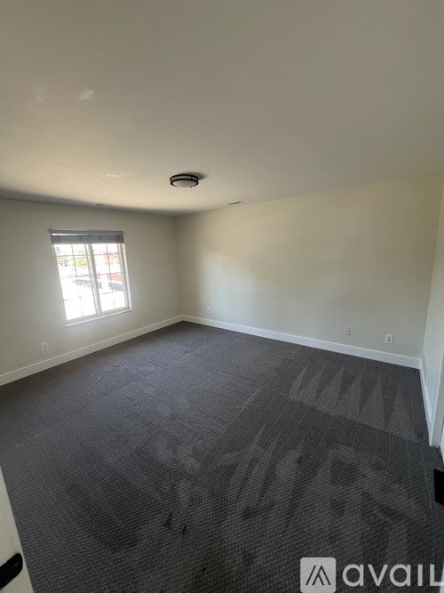 A room with a carpeted floor and a window letting in light.