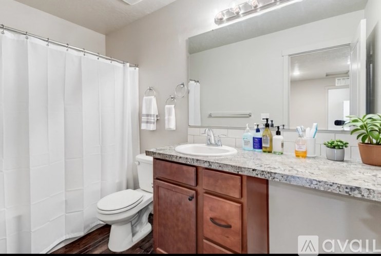 A bathroom with a white toilet, a sink, and a shower curtain.