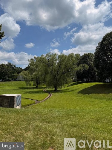 A grassy field with a path and trees in the distance.
