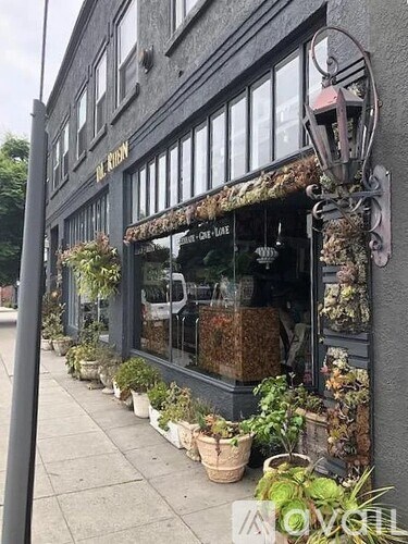 A storefront with a sign that says "The Kingdom" and a window display with various items.