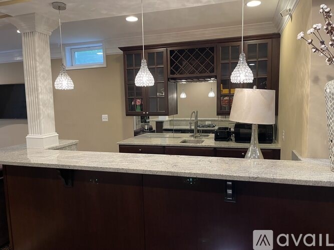 A kitchen with a countertop and pendant lights.