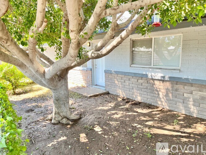 A tree with a thick trunk and branches is in front of a house.