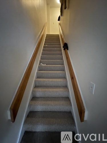 A staircase with a wooden handrail and beige carpeted steps.