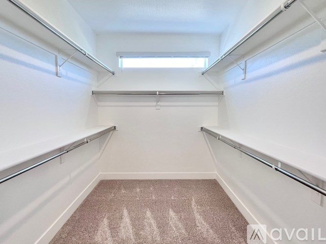 A room with a carpeted floor and a window.