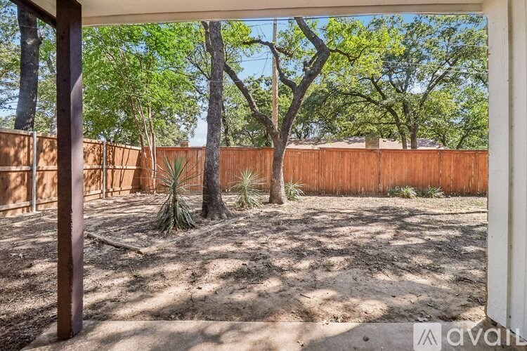 A backyard with a wooden fence and a few trees.