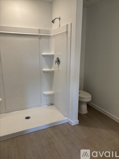 A white bathroom with a walk-in shower and toilet.