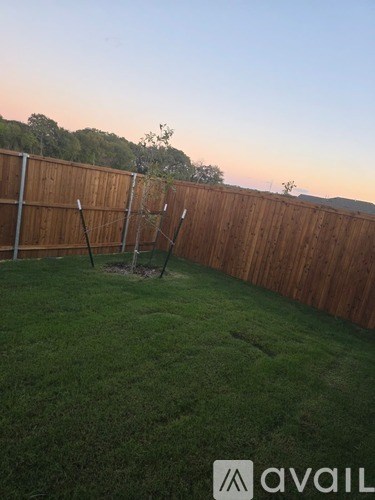 A backyard with a wooden fence and a swing set.