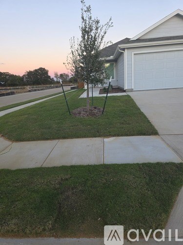 A tree stands in a grassy area in front of a garage.