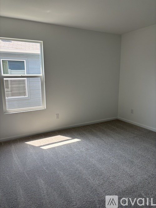 A room with a window and a carpeted floor.