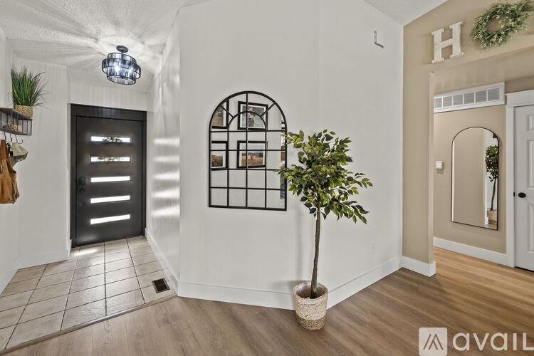 A room with a black door, a plant, and a mirror.