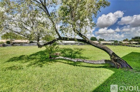 A fallen tree in a grassy field under a blue sky.