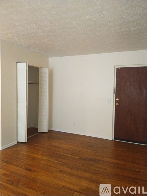 A room with a wooden floor and a brown door.