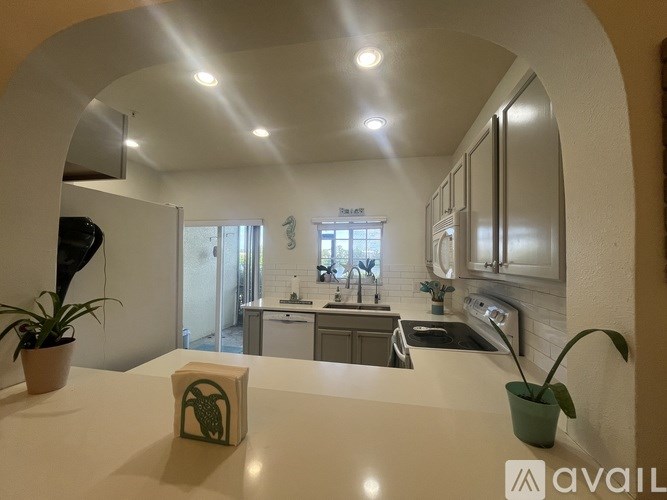 A kitchen with a white countertop and a plant on it.