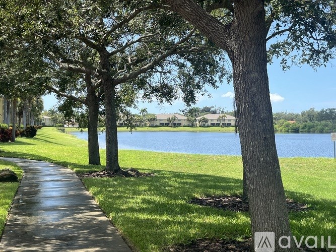 A tree-lined walkway with a lake in the background.
