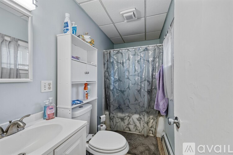 A bathroom with a toilet, sink, and shower curtain.