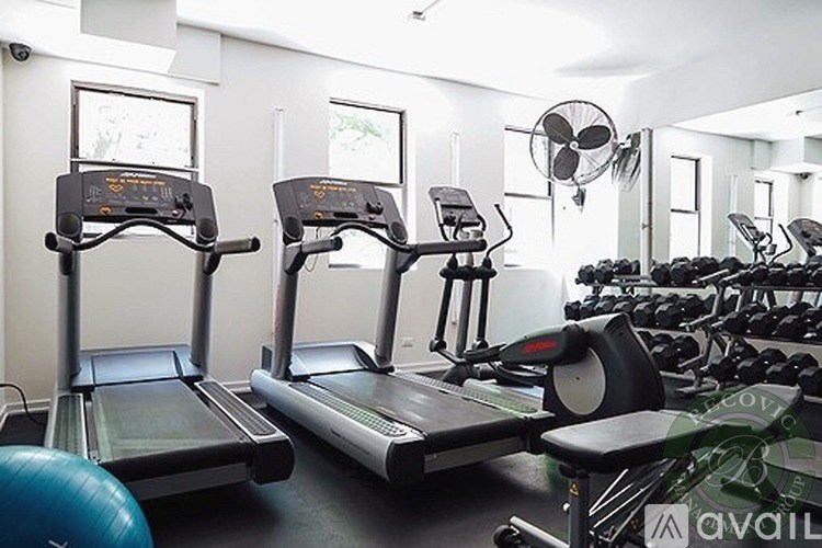 A gym with treadmills, elliptical machines, and weights.