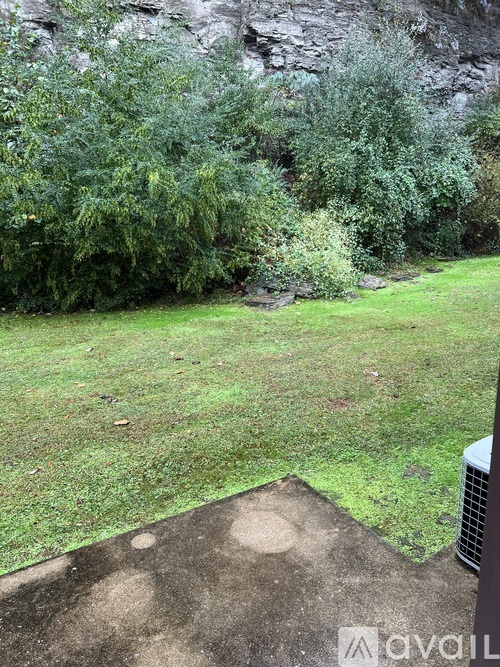 A grassy area with trees and a rocky cliff in the background.
