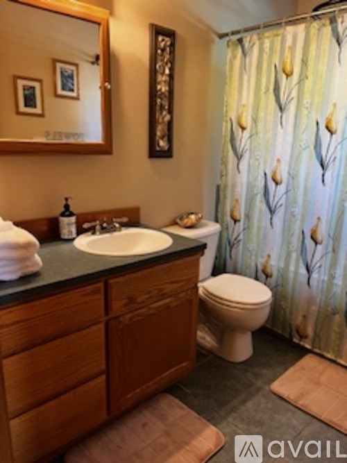 A bathroom with a sink, toilet, and a mirror.