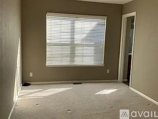 A room with a window covered by white blinds and a carpeted floor.