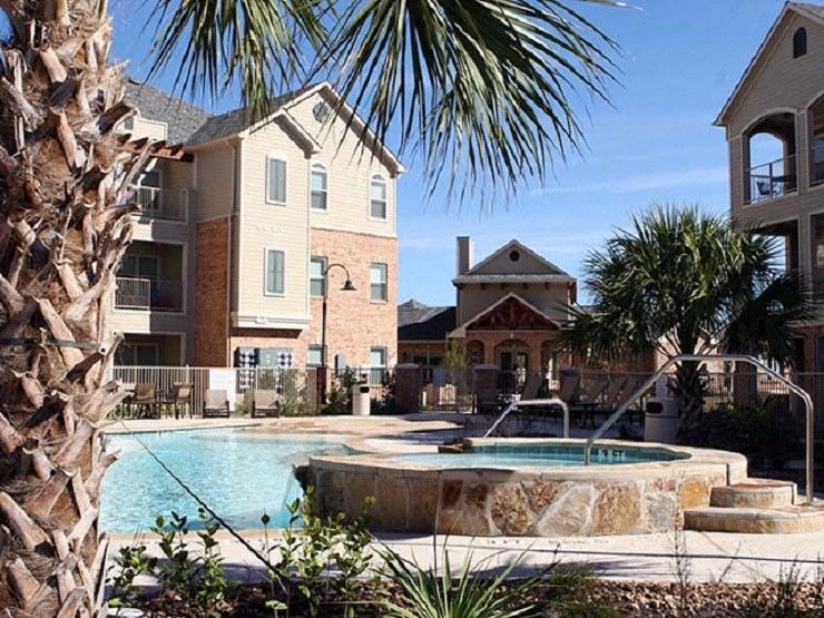 A palm tree stands in front of a swimming pool.