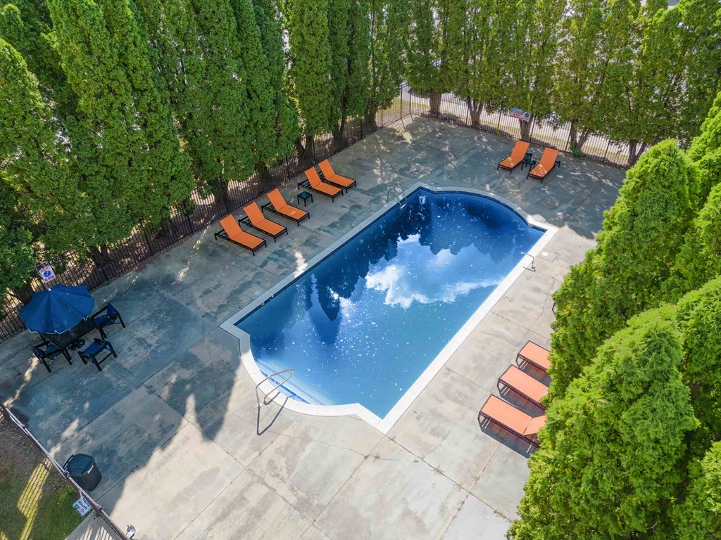 A small pool surrounded by trees and chairs.